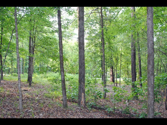 Image of Property